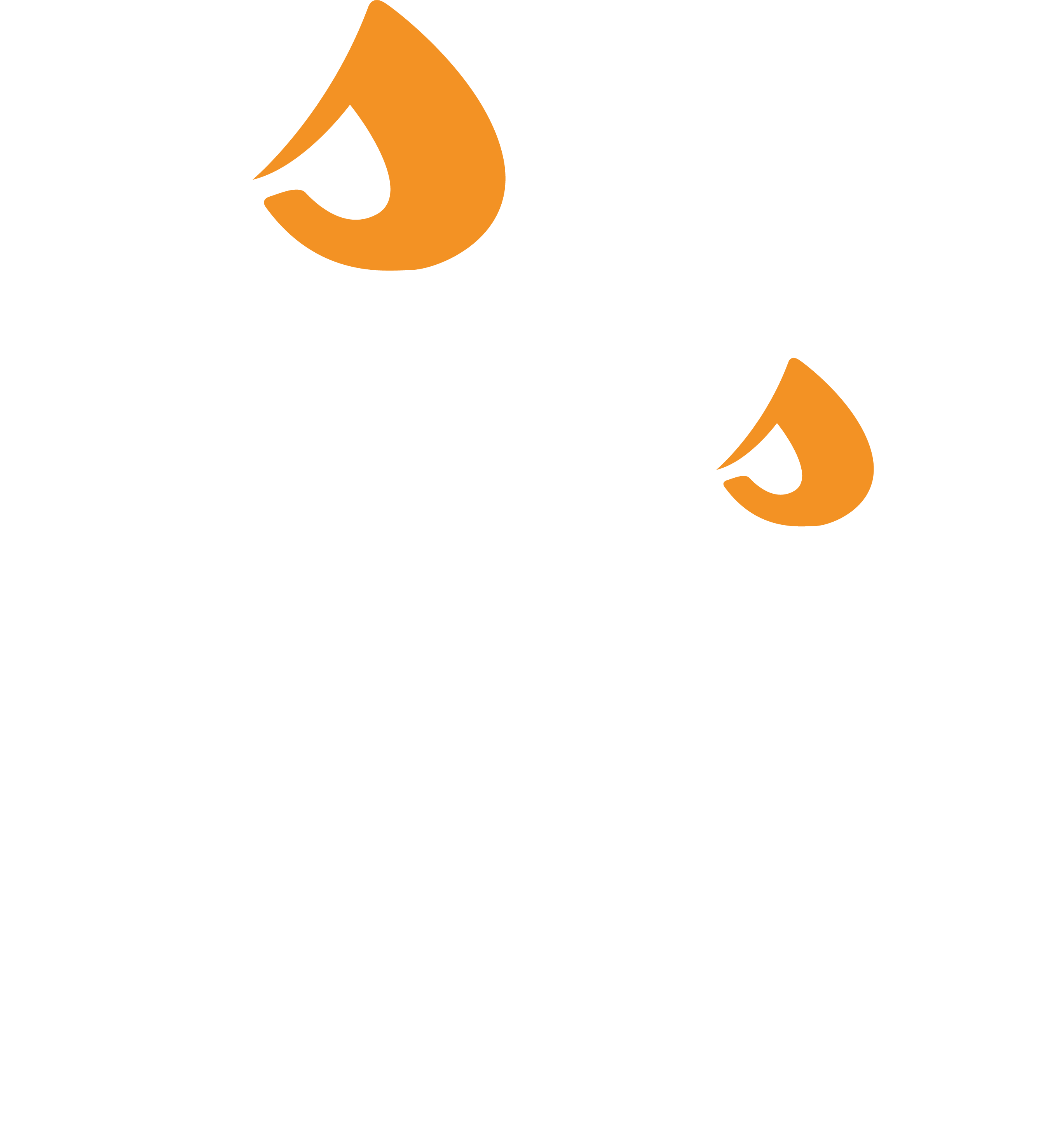 logo aniversario